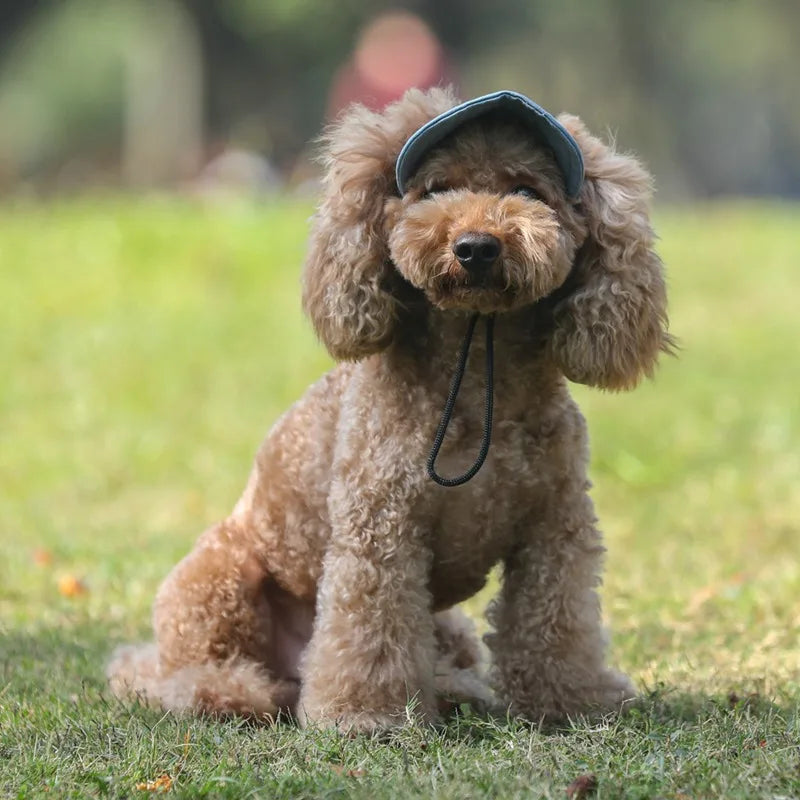 Pet Sun Hat