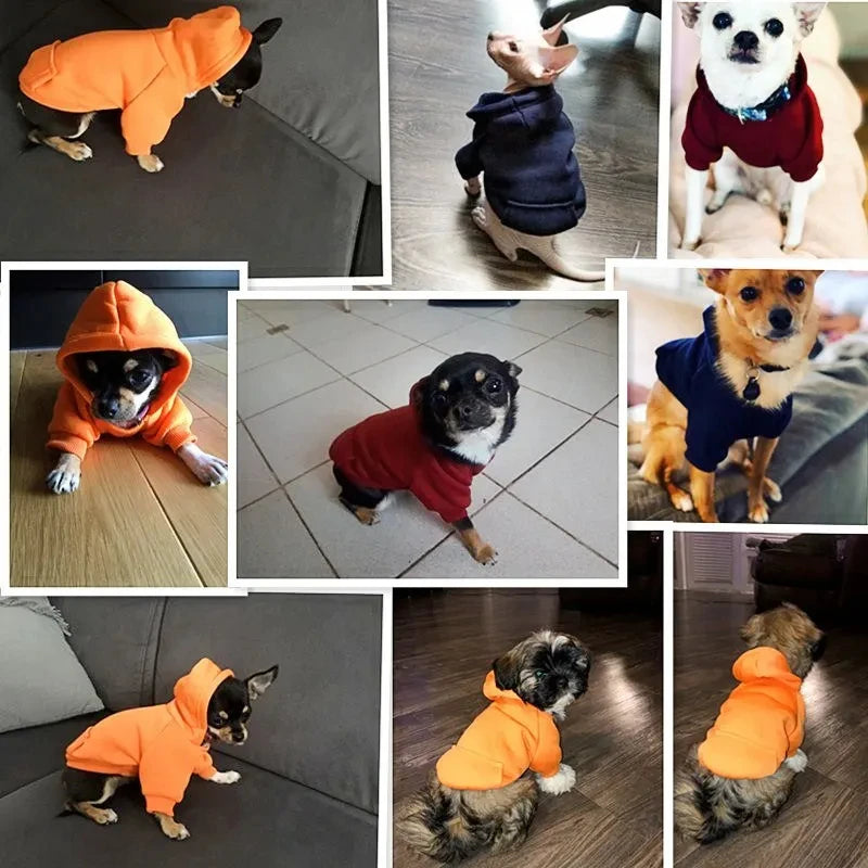 Dog Hoodie