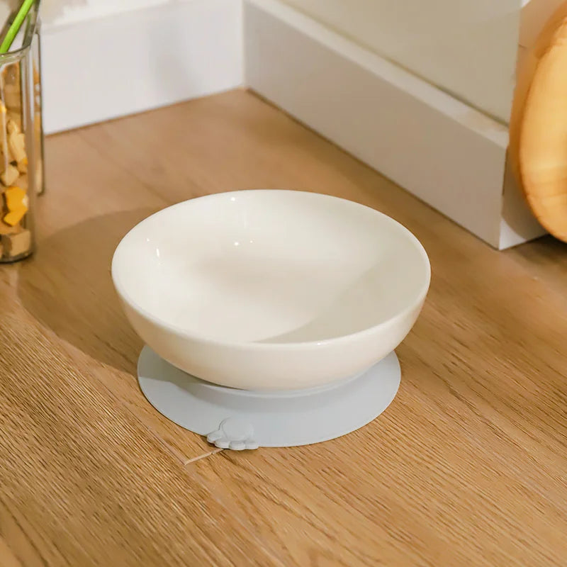 Ceramic Pet Bowl
